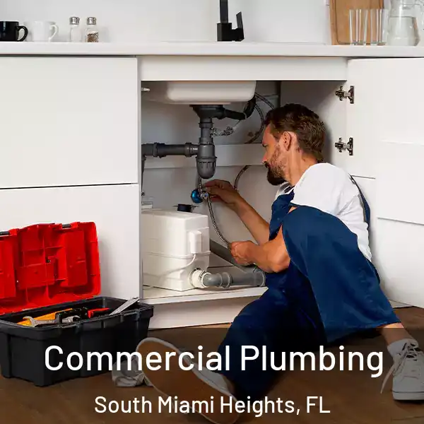  Commercial Plumbing South Miami Heights, FL